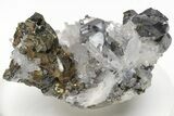 Galena, Chalcopyrite, and Quartz Crystal Association - Peru #213647-1